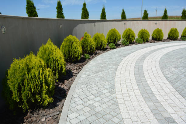 Best Commercial Driveway Pavers  in Stedman, NC